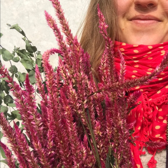 Meet the Posher Other - Meet your Posher, Zoe